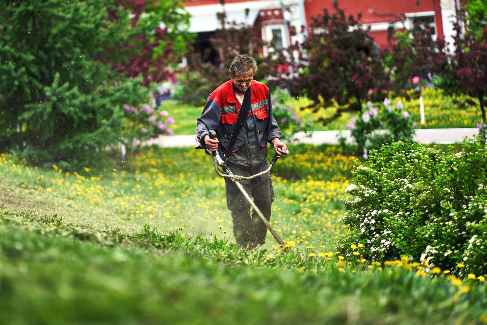Service d'entretien des espaces verts